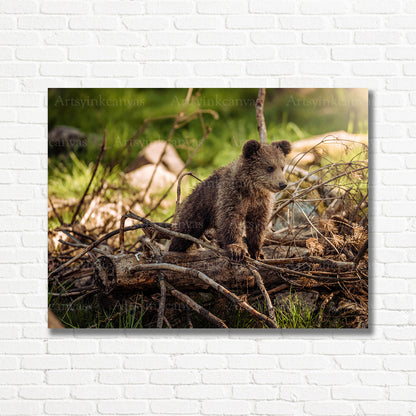 Young bear cub woodland scene for nature-inspired wall decor