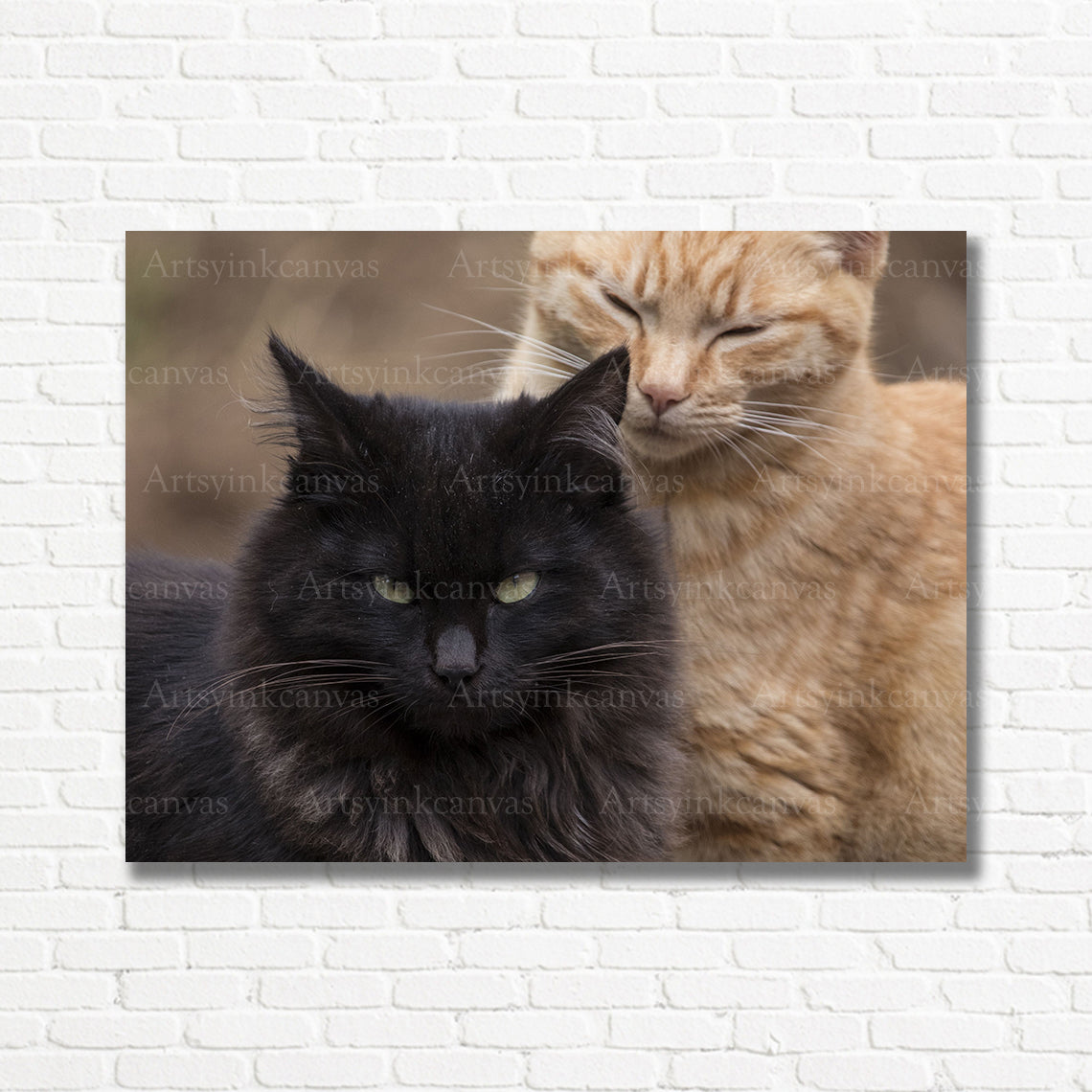 Two cats in black and brown tones for stylish home wall decor