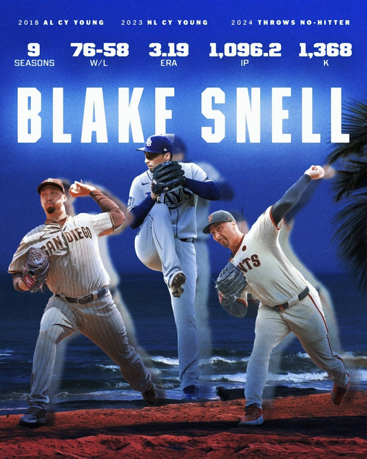 Blake Snell career stats resume canvas wall art