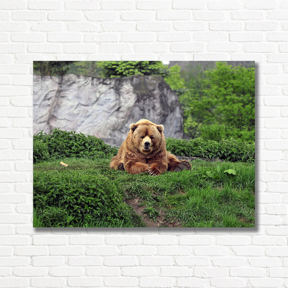 Powerful brown bear wildlife canvas print