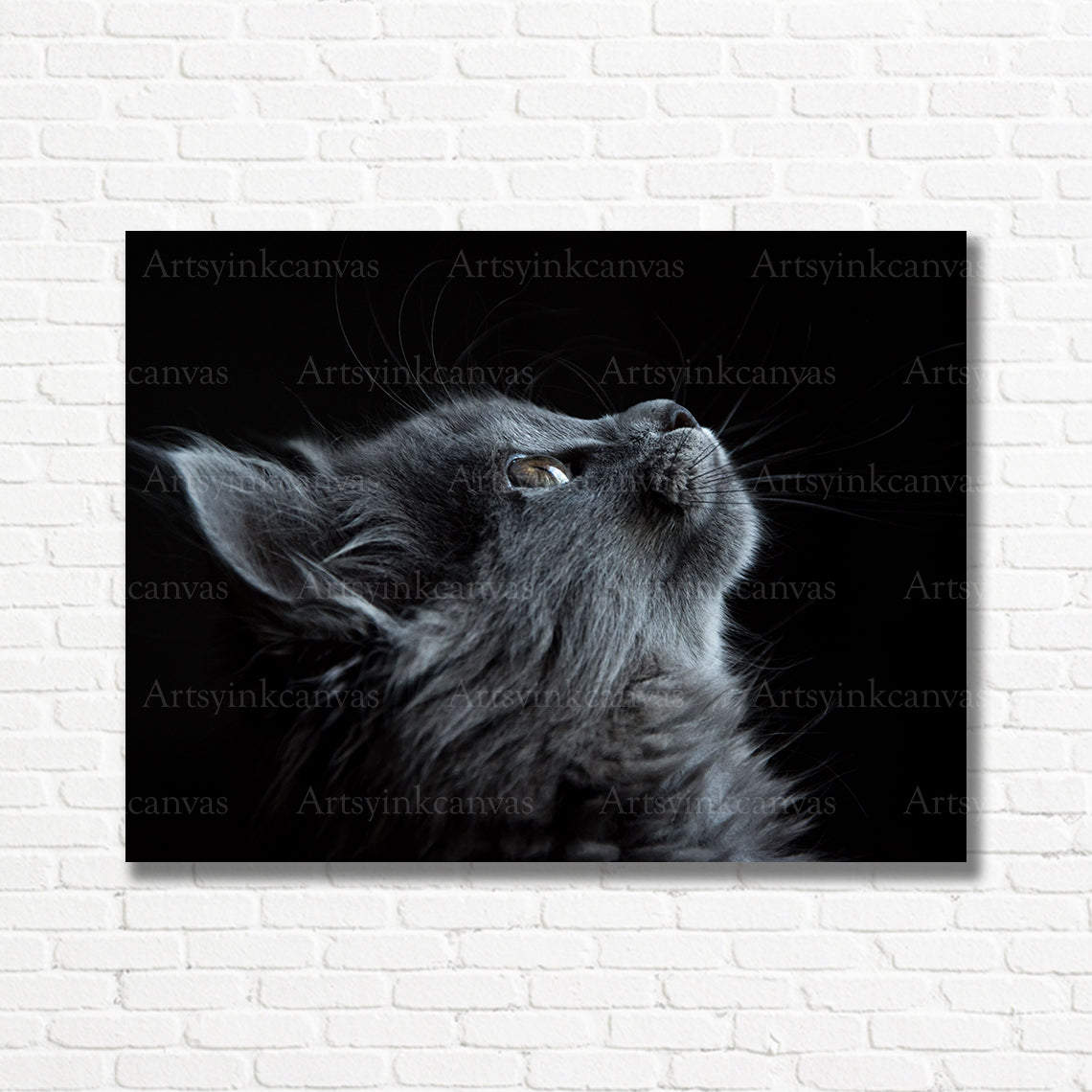 Elegant cat animal canvas print