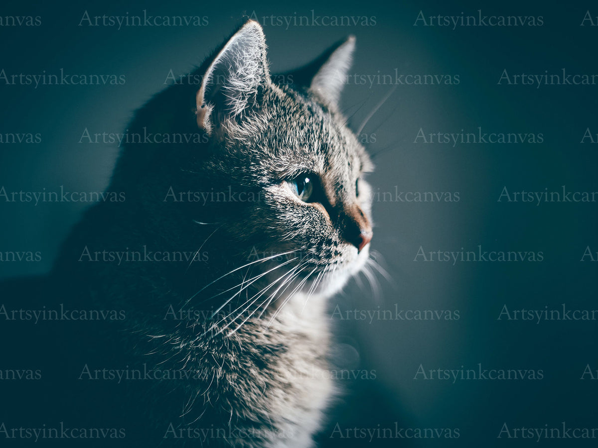 Close-up cat muzzle canvas wall art with detailed feline features
