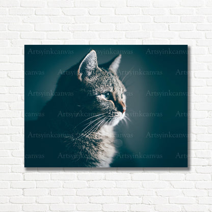 Expressive cat face and muzzle artwork for home wall decor