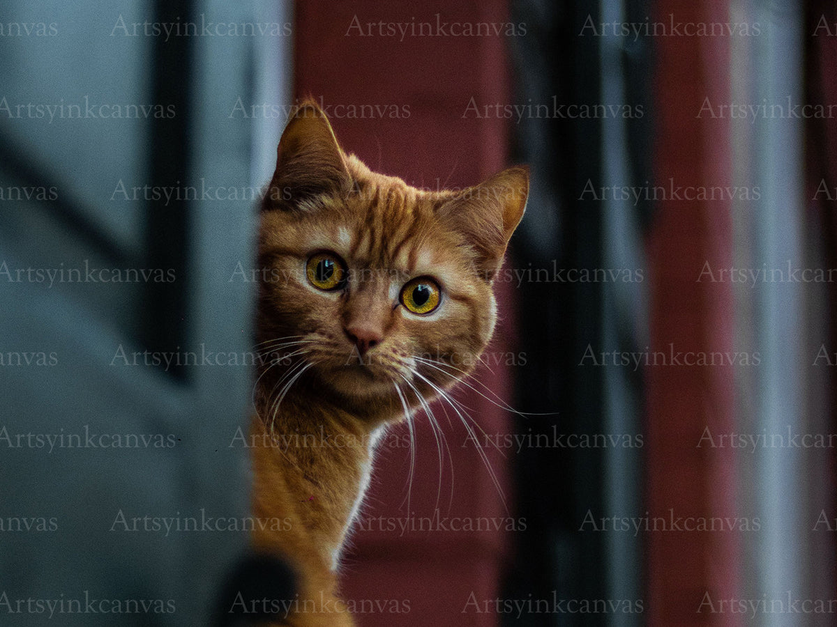 Cat with mysterious spy-like expression canvas wall art