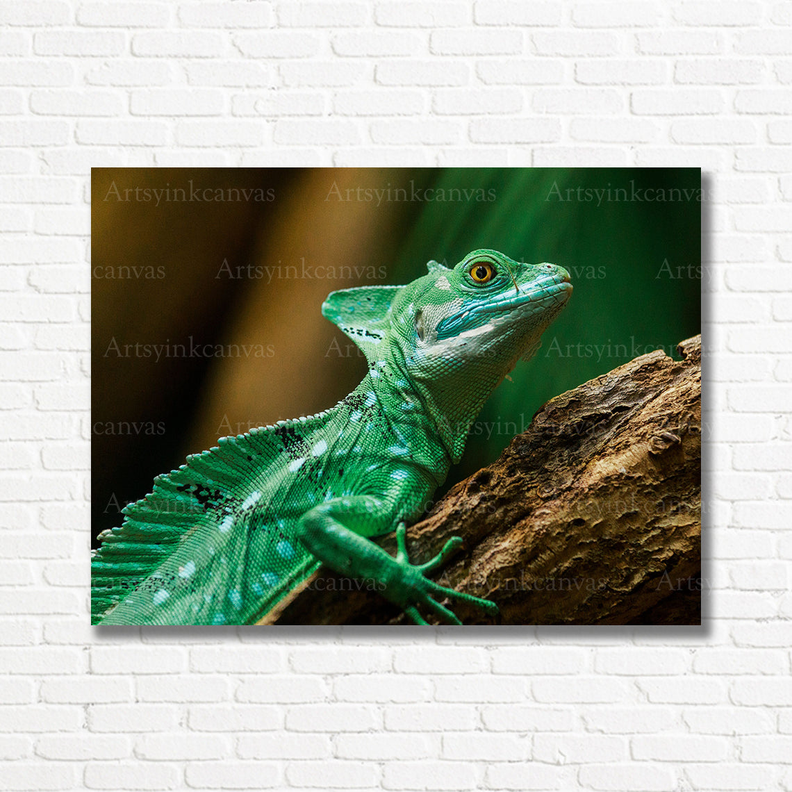 Vibrant lizard reptile canvas print