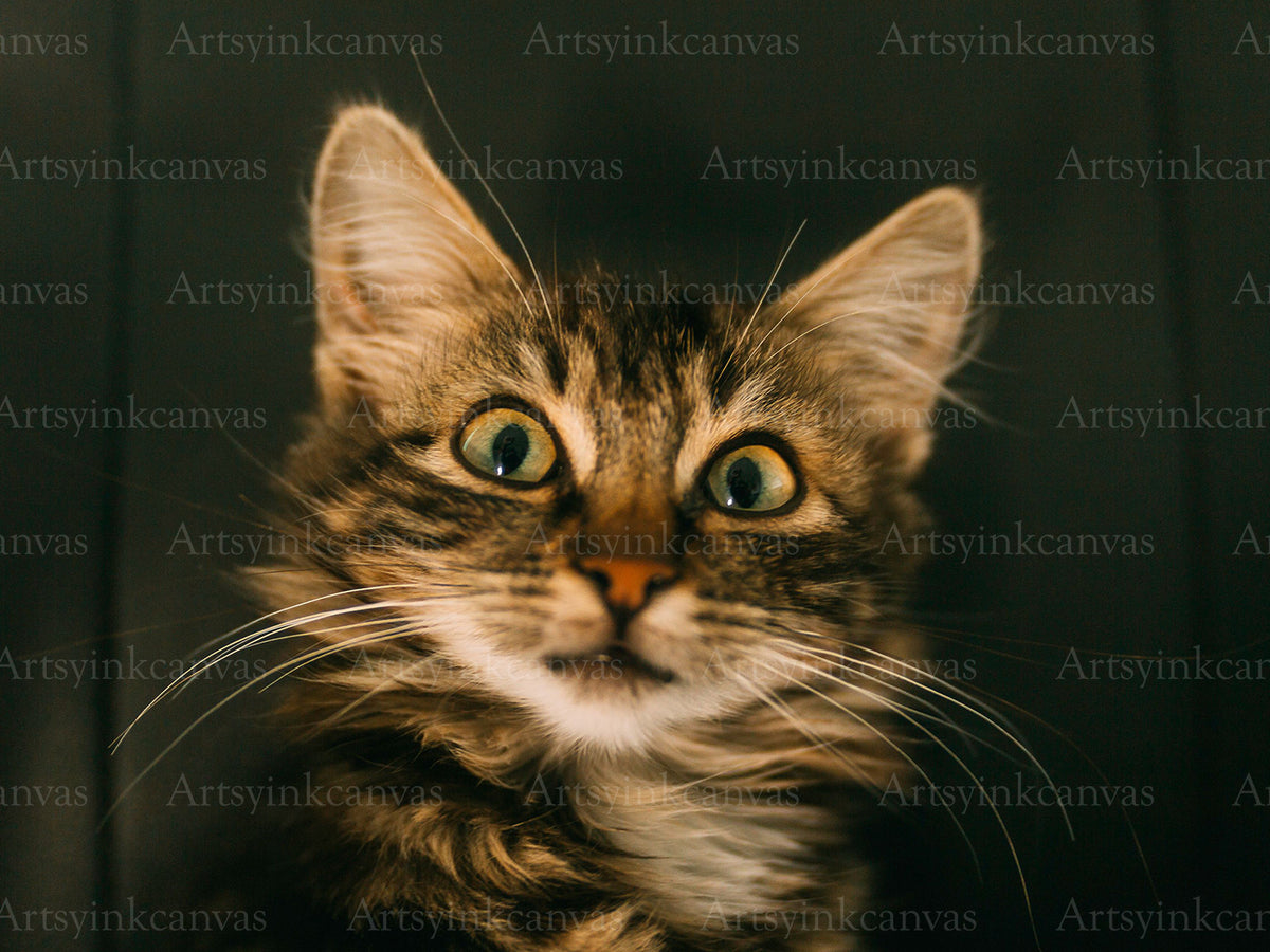 Gray Cat Canvas Wall Art
