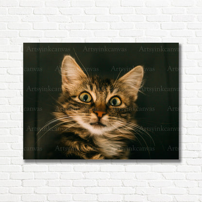 Elegant gray cat animal canvas print