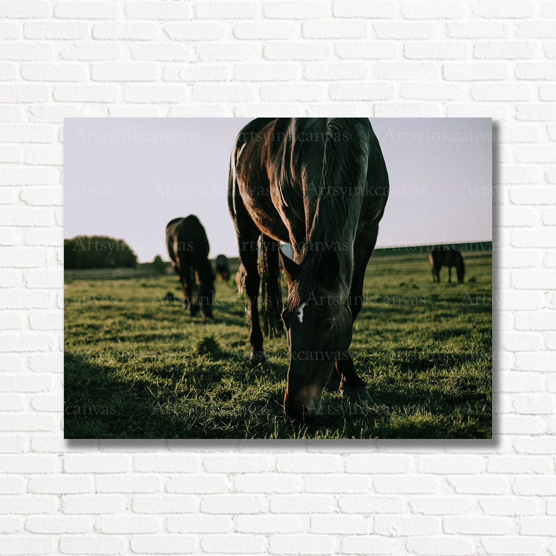 Graceful horse strolling across a natural grassy field wall decor