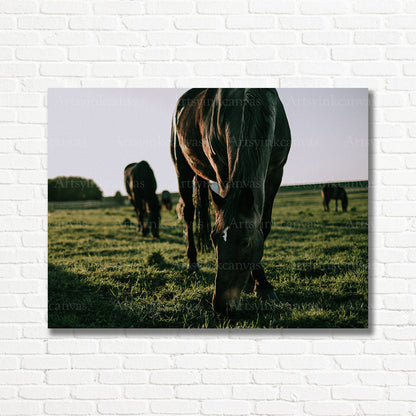 Graceful horse strolling across a natural grassy field wall decor