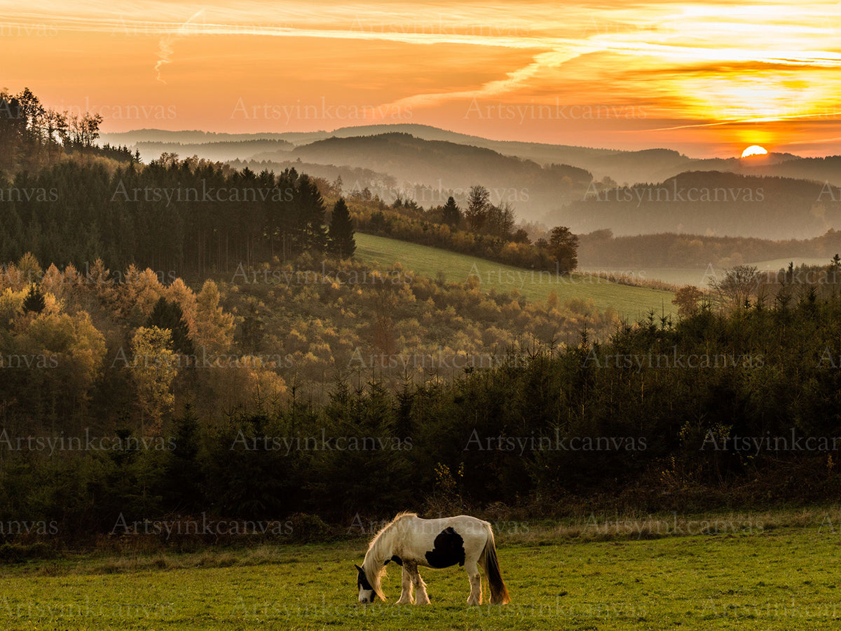 Horse standing in mountain field landscape canvas wall art