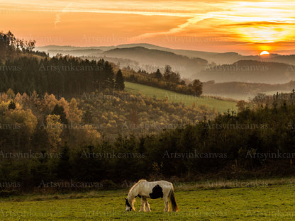 Horse standing in mountain field landscape canvas wall art