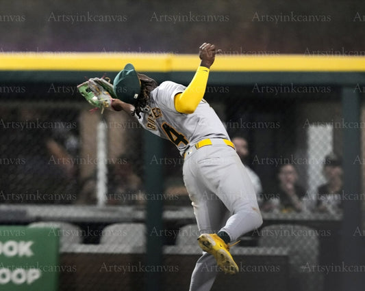 Lawrence Butler diving catch canvas wall art