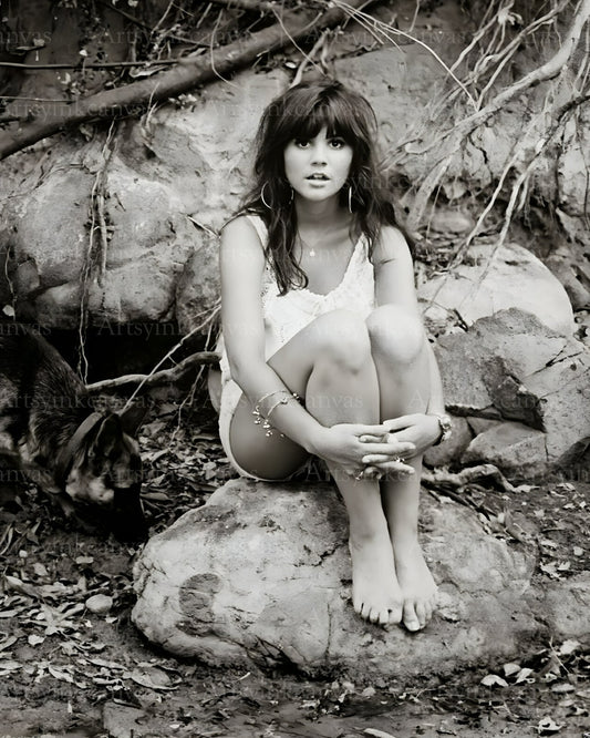 Linda Ronstadt Timeless Voice canvas wall art