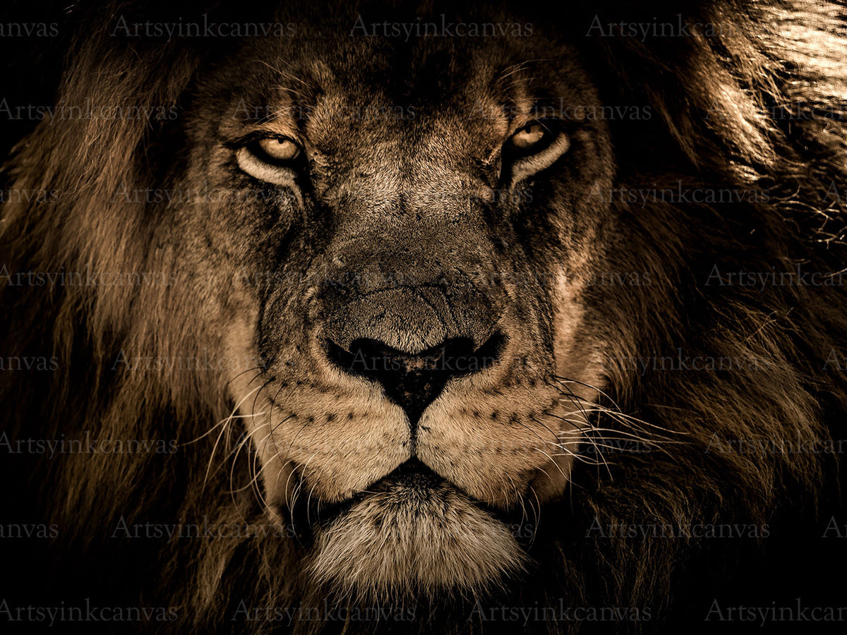 Lion canvas wall art