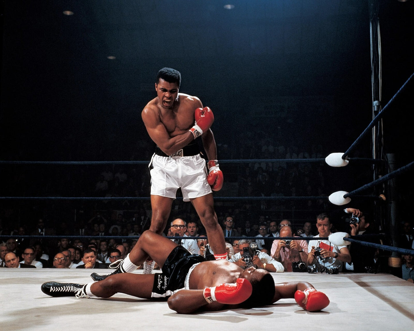 Muhammad Ali legendary fight moment artwork