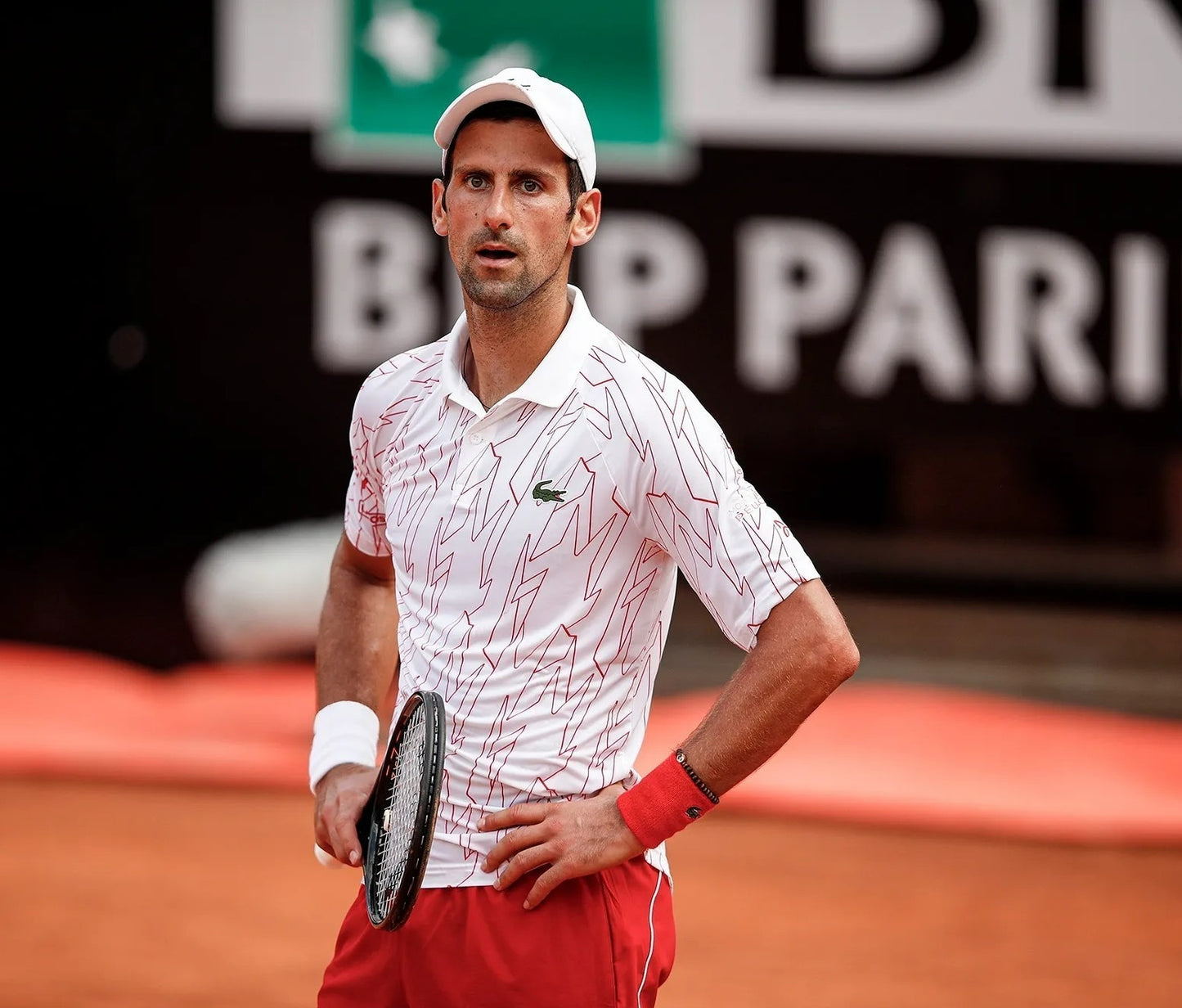 Novak Djokovic elite champion canvas wall art