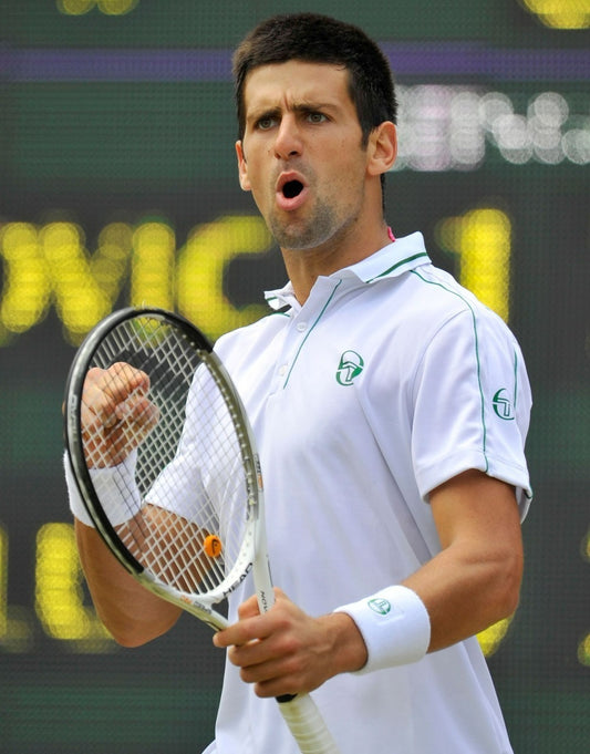 Novak Djokovic tennis action canvas wall art