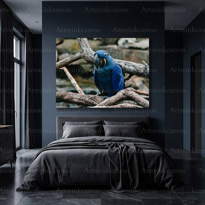 Premium blue parrot wildlife wall art