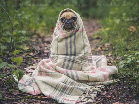 Pug Dog Canvas Wall Art