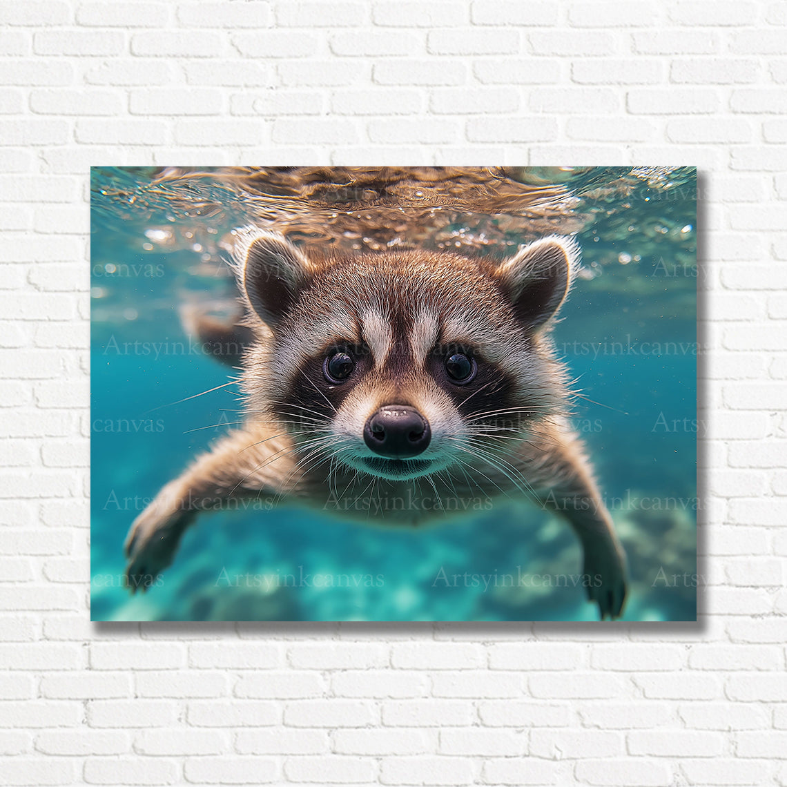 Raccoon swimming underwater canvas print