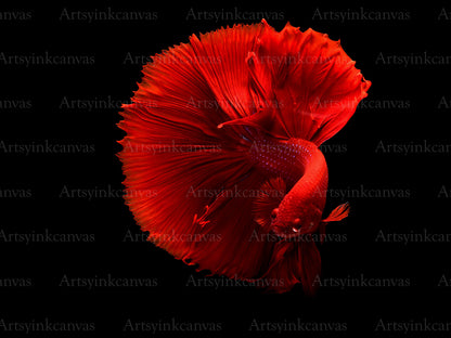 Red Fish Canvas Wall Art