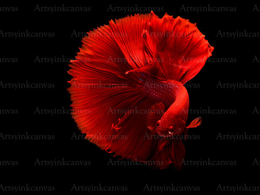 Red Fish Canvas Wall Art