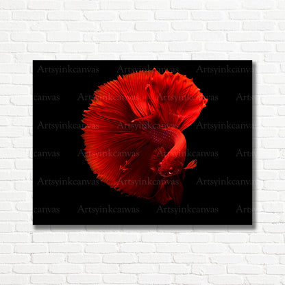 Vibrant red fish aquatic canvas print