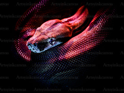 Red snake reptile canvas wall art
