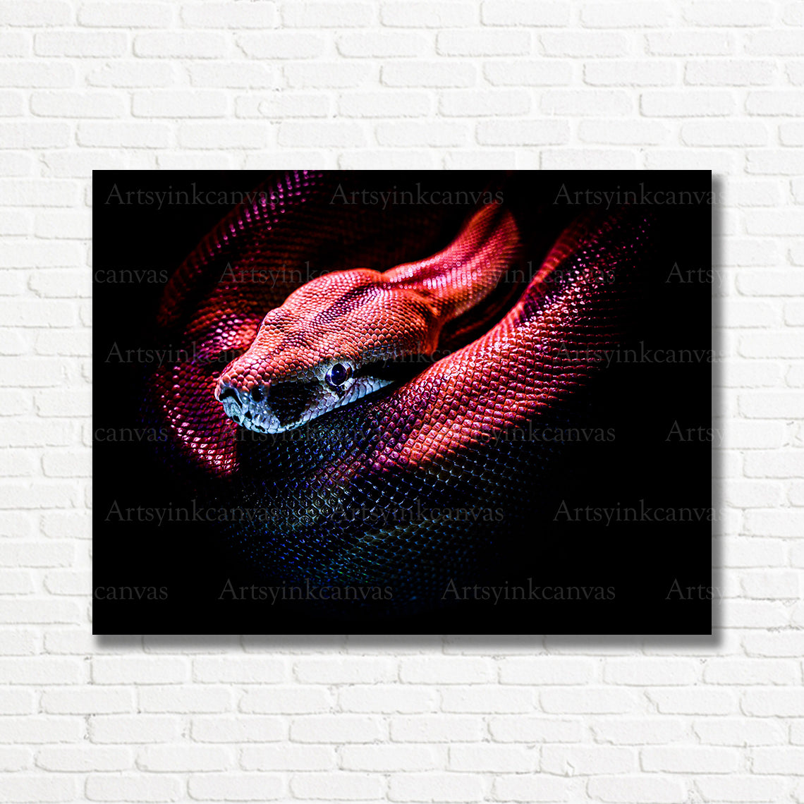 Red snake wildlife canvas print