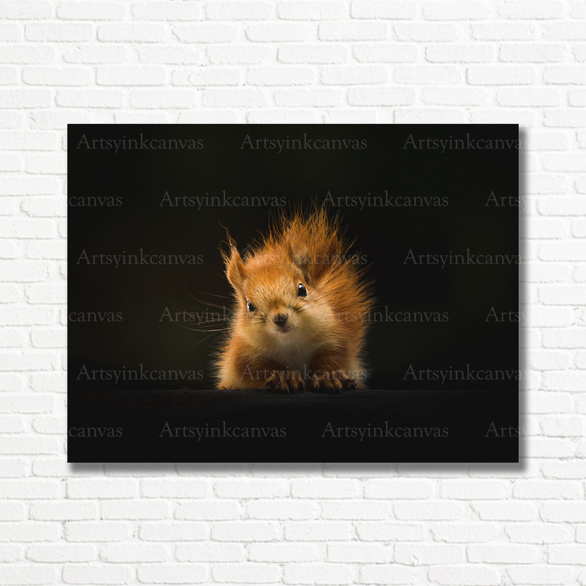 Fluffy squirrel wildlife canvas print
