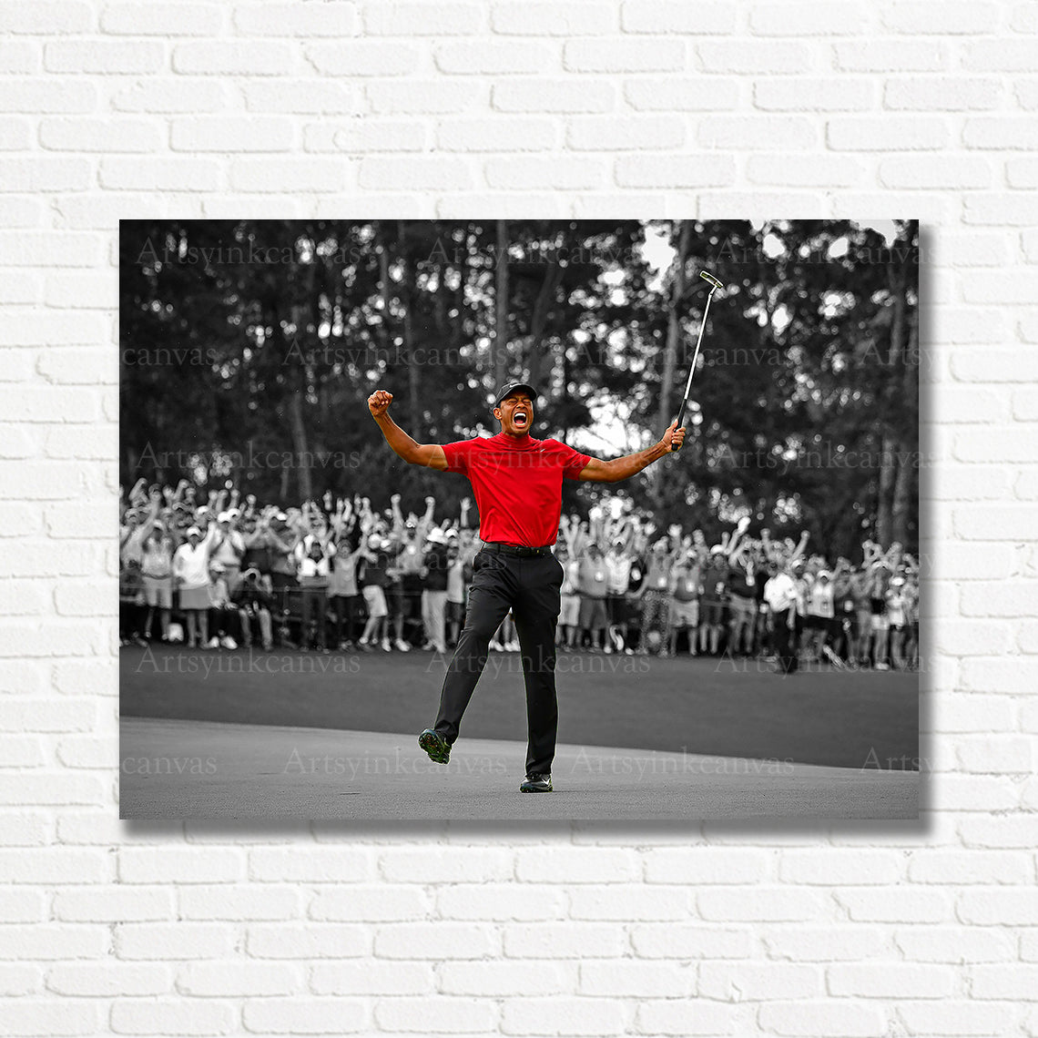Tiger Woods golf canvas artwork for USA homes