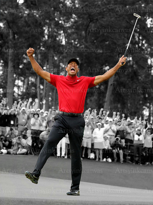 Tiger Woods golf canvas wall art for USA home decor