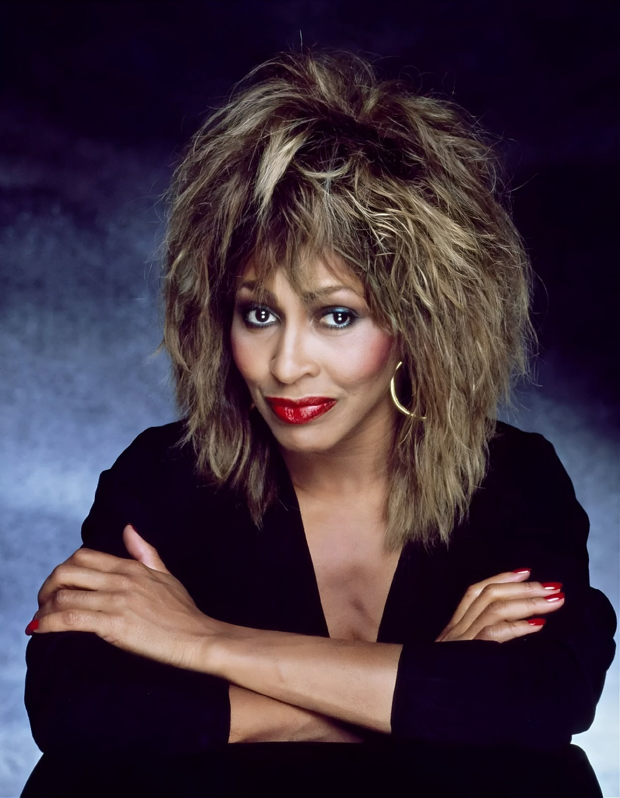 Tina Turner Music Icon premium canvas wall art portrait