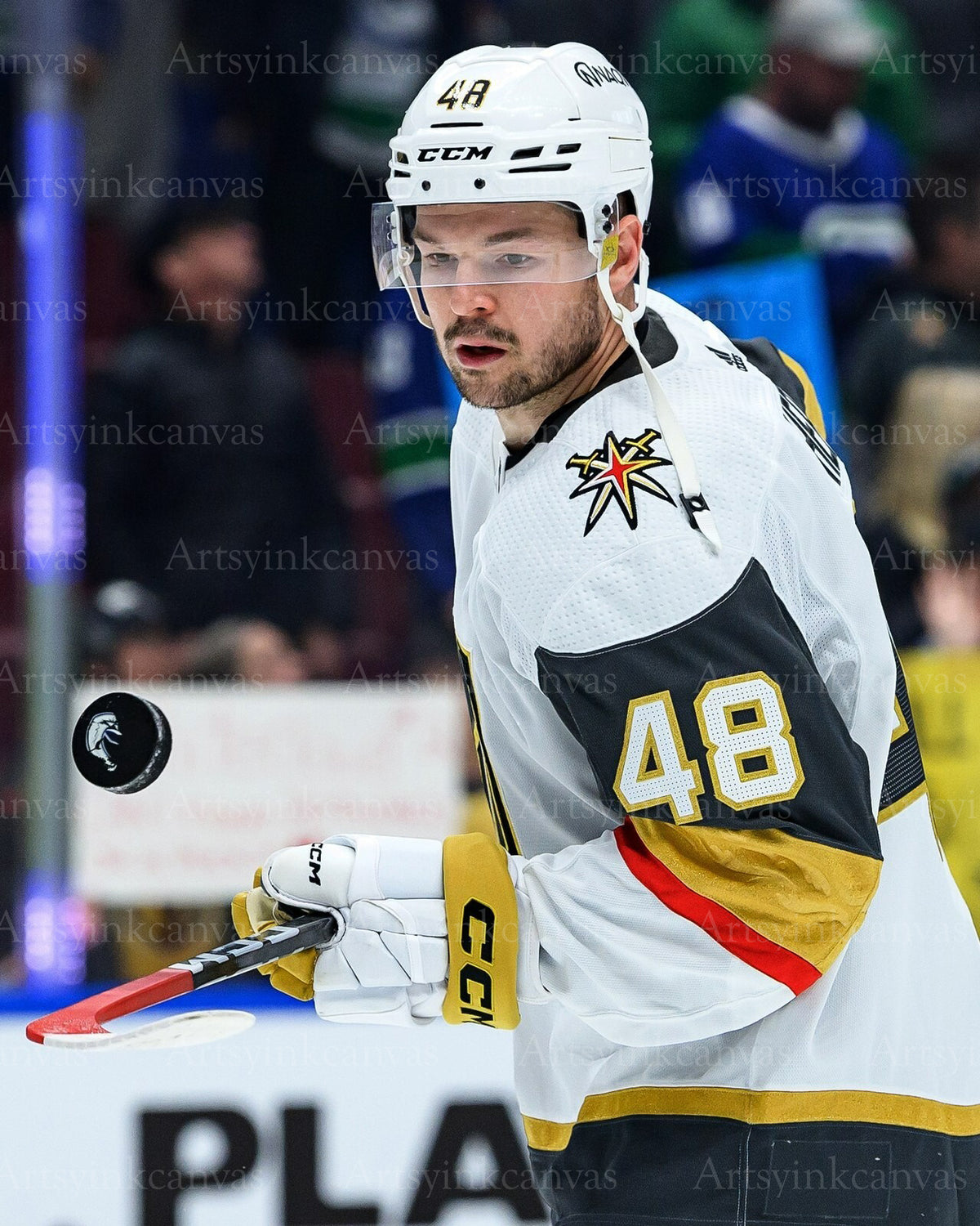Tomas Hertl Vegas debut warmup canvas wall art