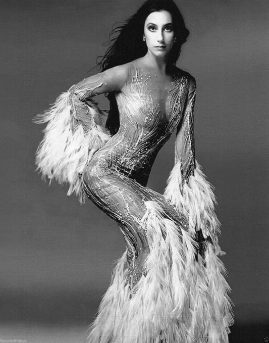 Cher 1970 Black & White Canvas Wall Art – Vintage Music Icon Poster