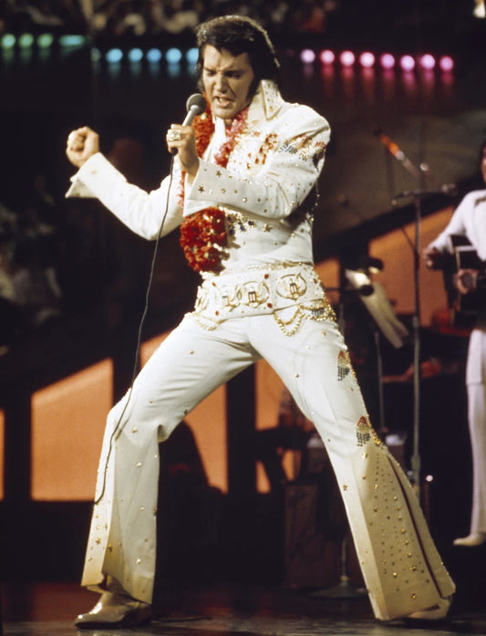 Elvis Presley Aloha From Hawaii Canvas Wall Art – Legendary Concert Music Decor