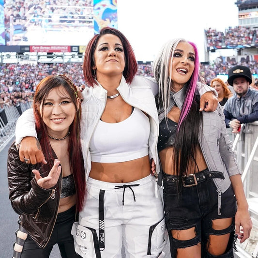 Bayley WWE Friends Canvas Wall Art – Wrestling Team Spirit Poster