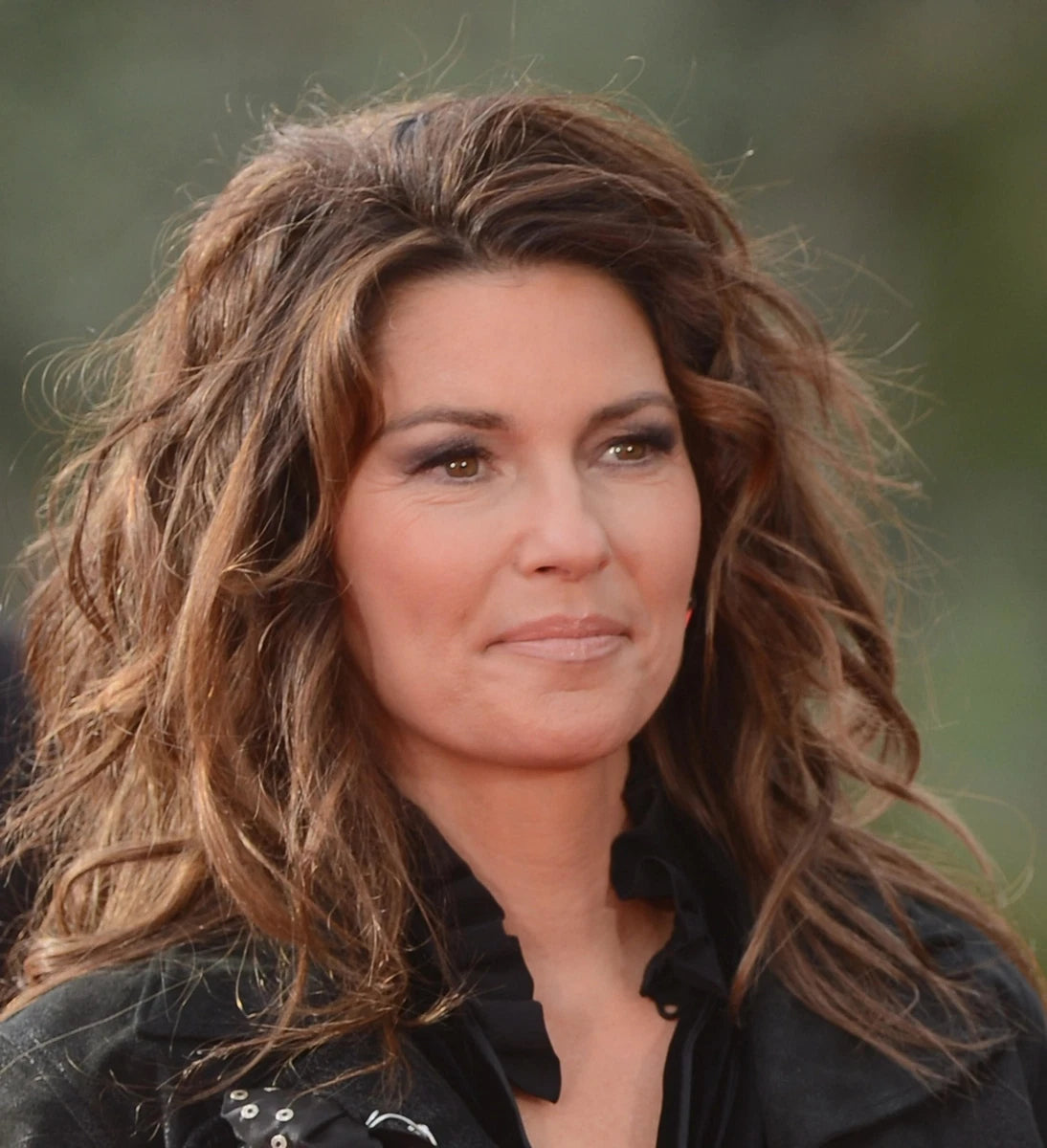 Shania Twain Beautiful Wavy Hair Canvas Wall Art – Vintage Celebrity Aesthetic Poster